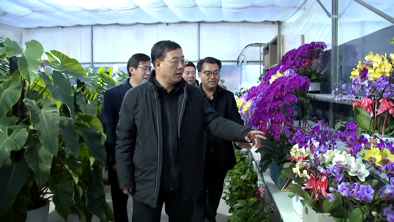 汪尚学在临洮县调研