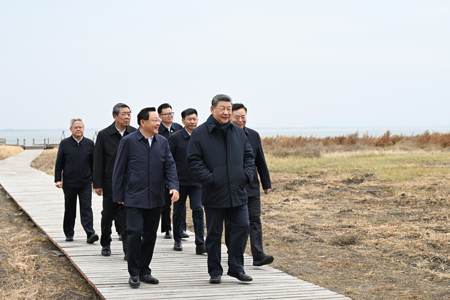 10月16日，中共中央总书记、国家主席、中央军委主席习近平在内蒙古自治区乌兰察布市考察。这是习近平在察哈尔右翼前旗的黄旗海自然保护区考察。