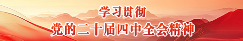 学习贯彻党的二十届四中全会精神